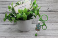 Cactus and Sunflower Silicone Beaded Keychain